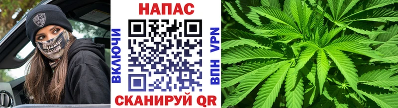 Все наркотики Петровск Альфа ПВП Меф ГАШ COCAIN