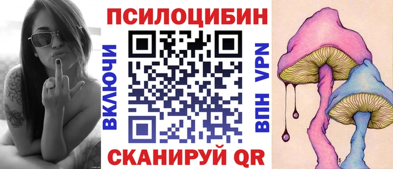 Галлюциногенные грибы Psilocybe  мега рабочий сайт  Петровск  закладка 