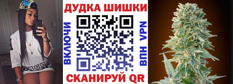 Шишки марихуана AK-47  MEGA tor  Петровск 